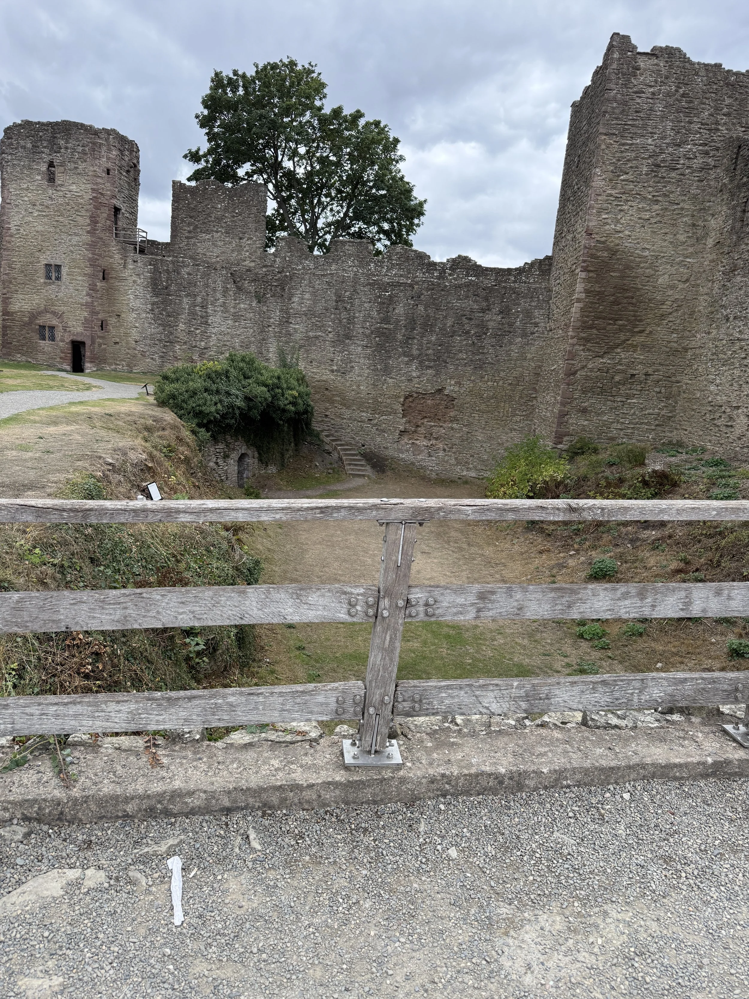 IMG_2741.jpeg