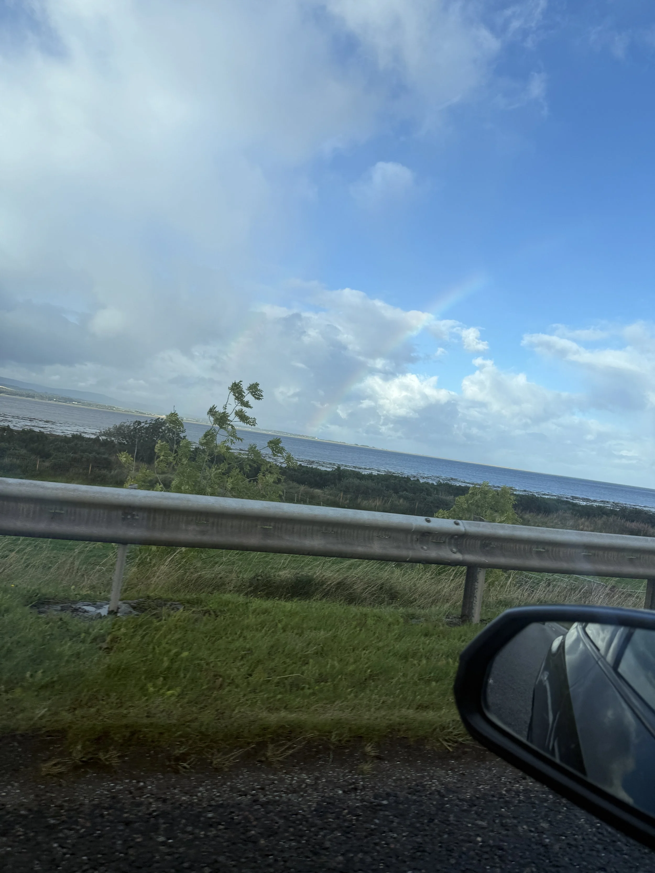 IMG_3100.jpeg