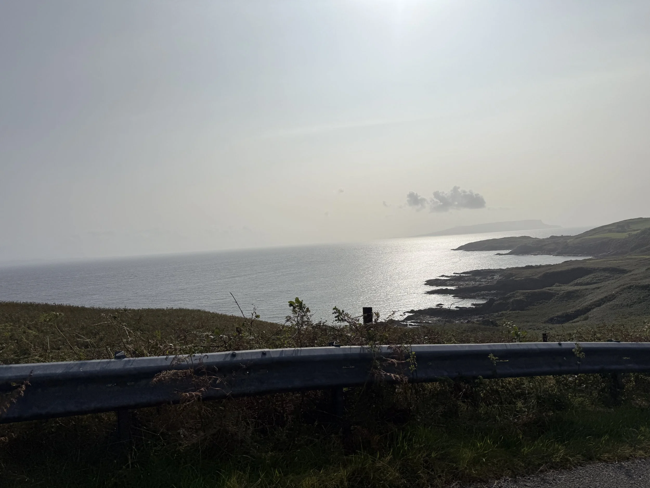 IMG_3279.jpeg