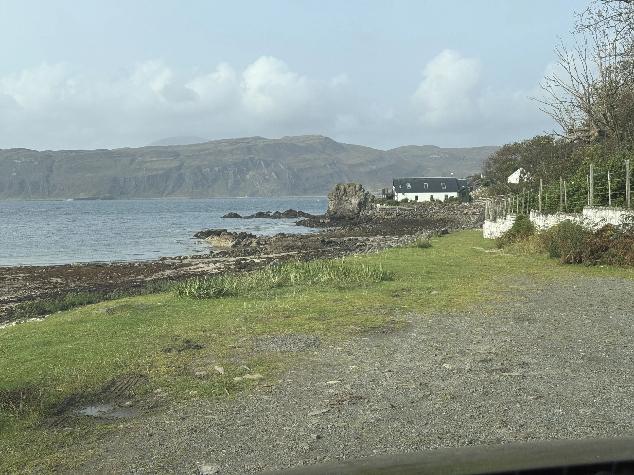 IMG_3296.jpeg