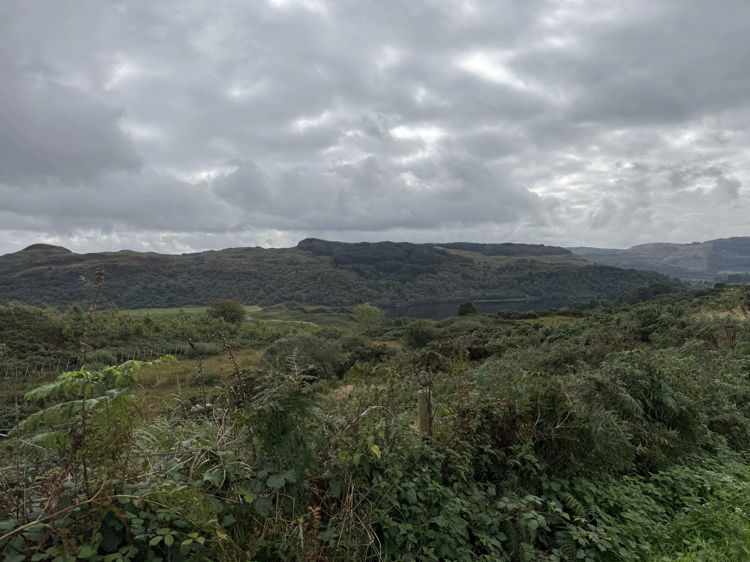 IMG_3372.jpeg