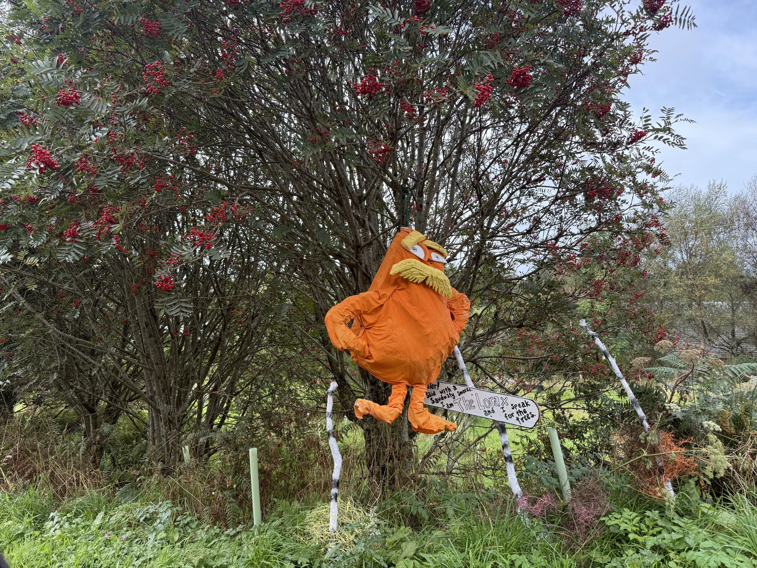 IMG_3379.jpeg