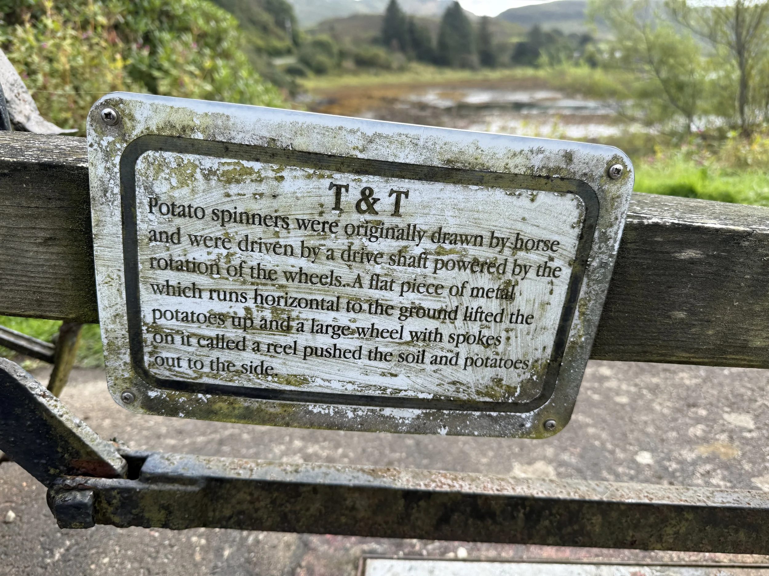 IMG_3392.jpeg