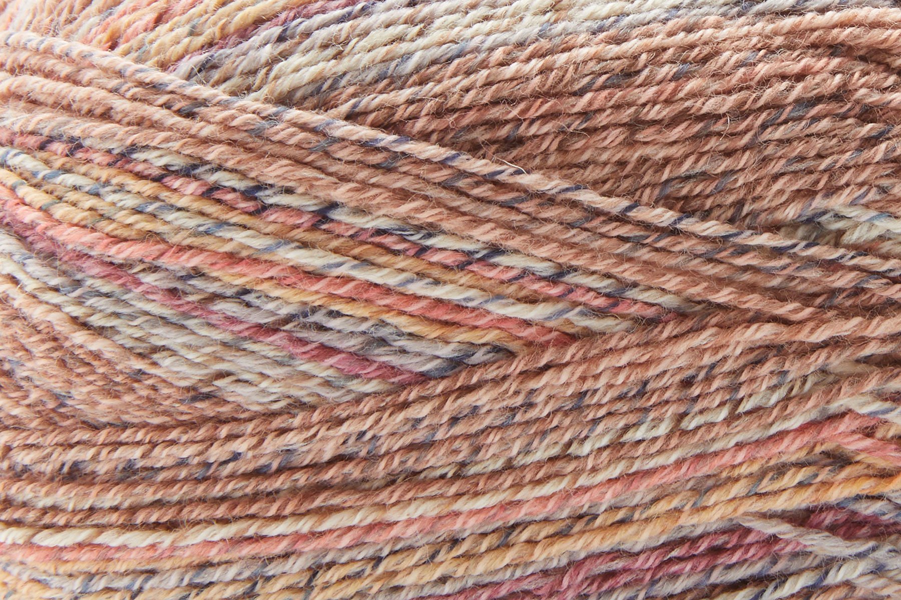 Filly_106_Robin_chip-new-web.jpg