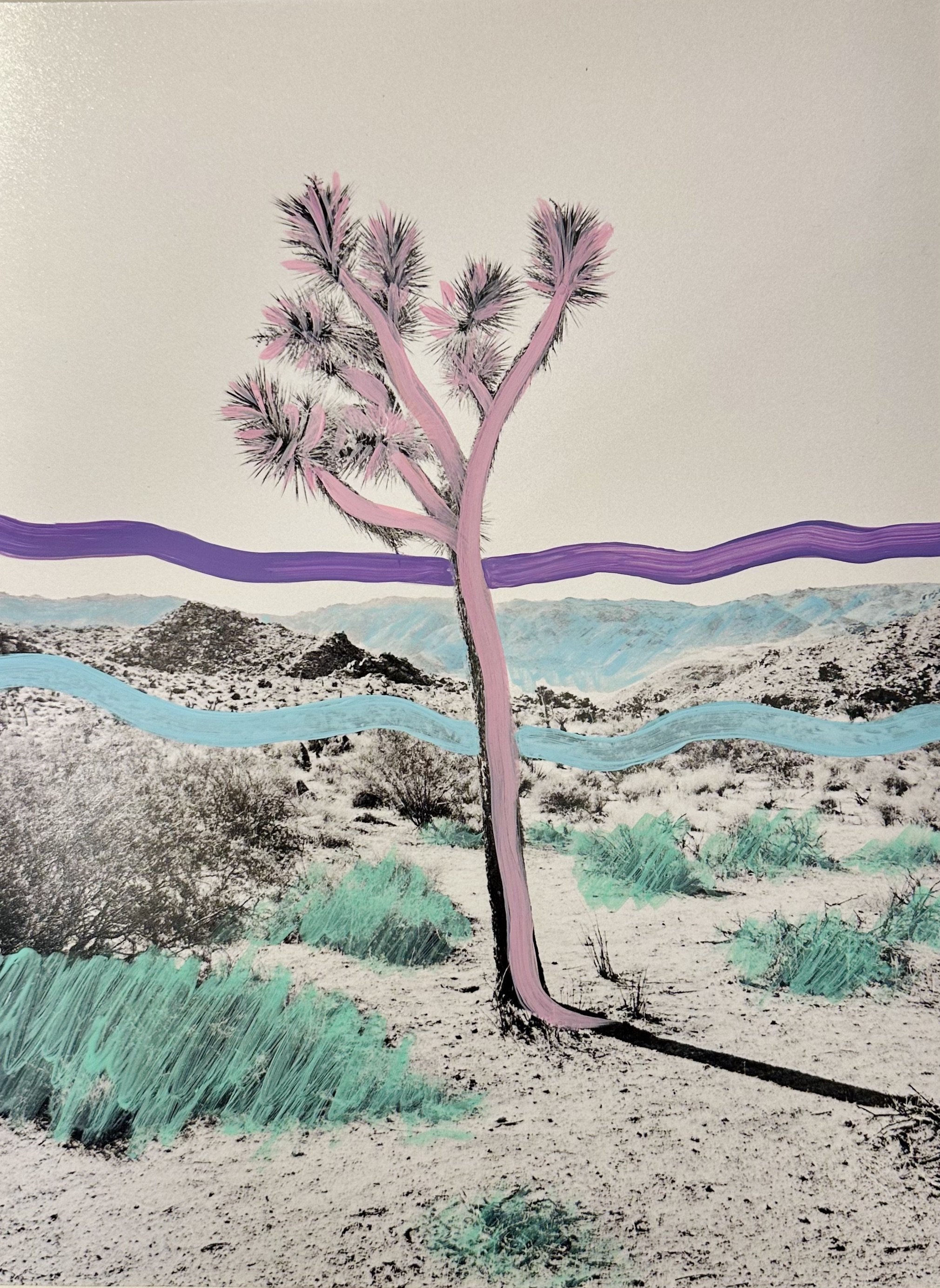 Vivid | Mojave Desert