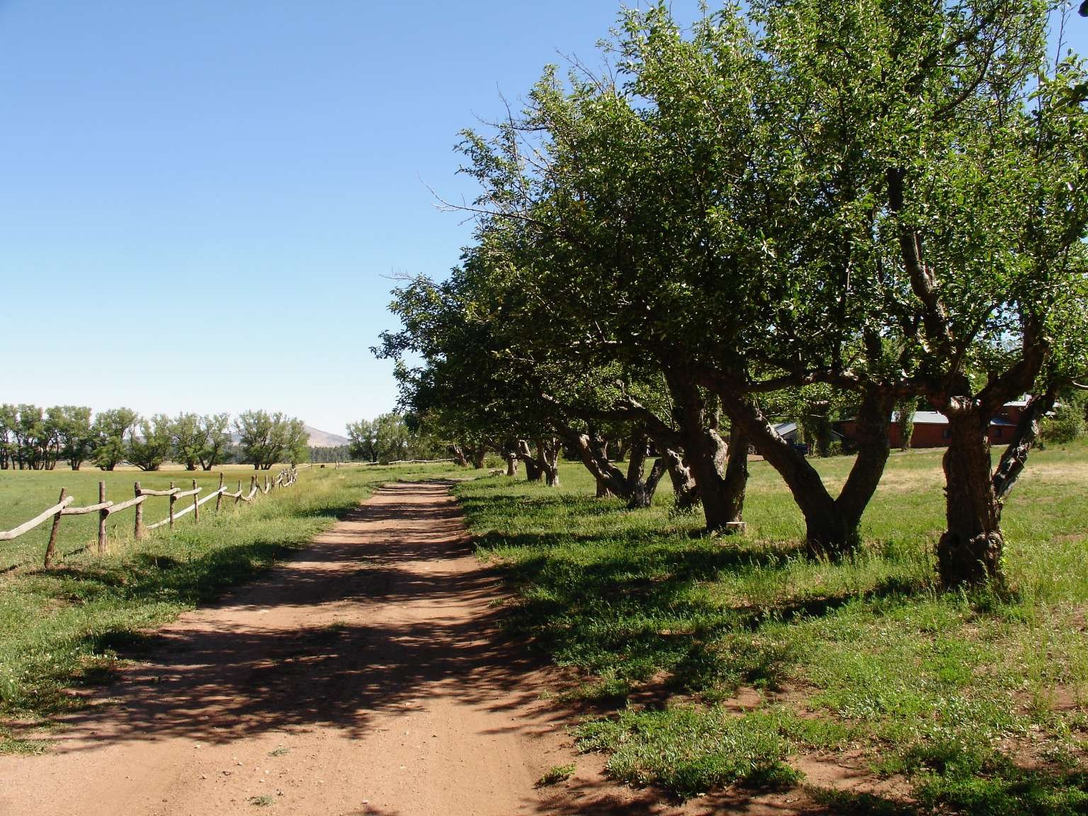 Ocamora-1-1-1536x1152.jpg