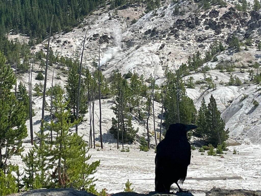 Transform Your Mornings: A Life-Changing Routine