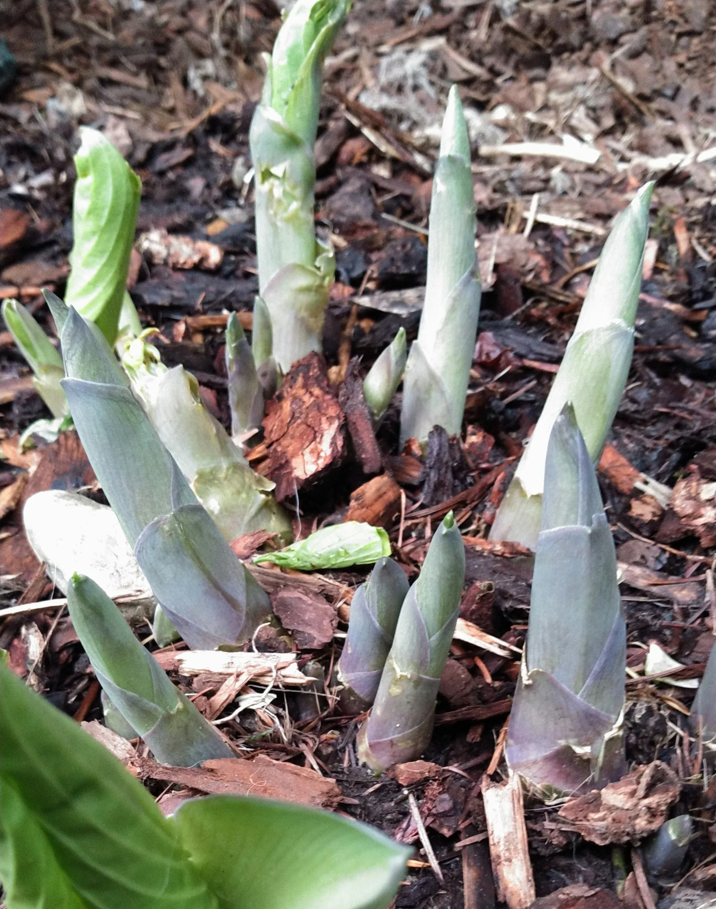 Have To Go To The ER?  Here’s Some Pointers! 