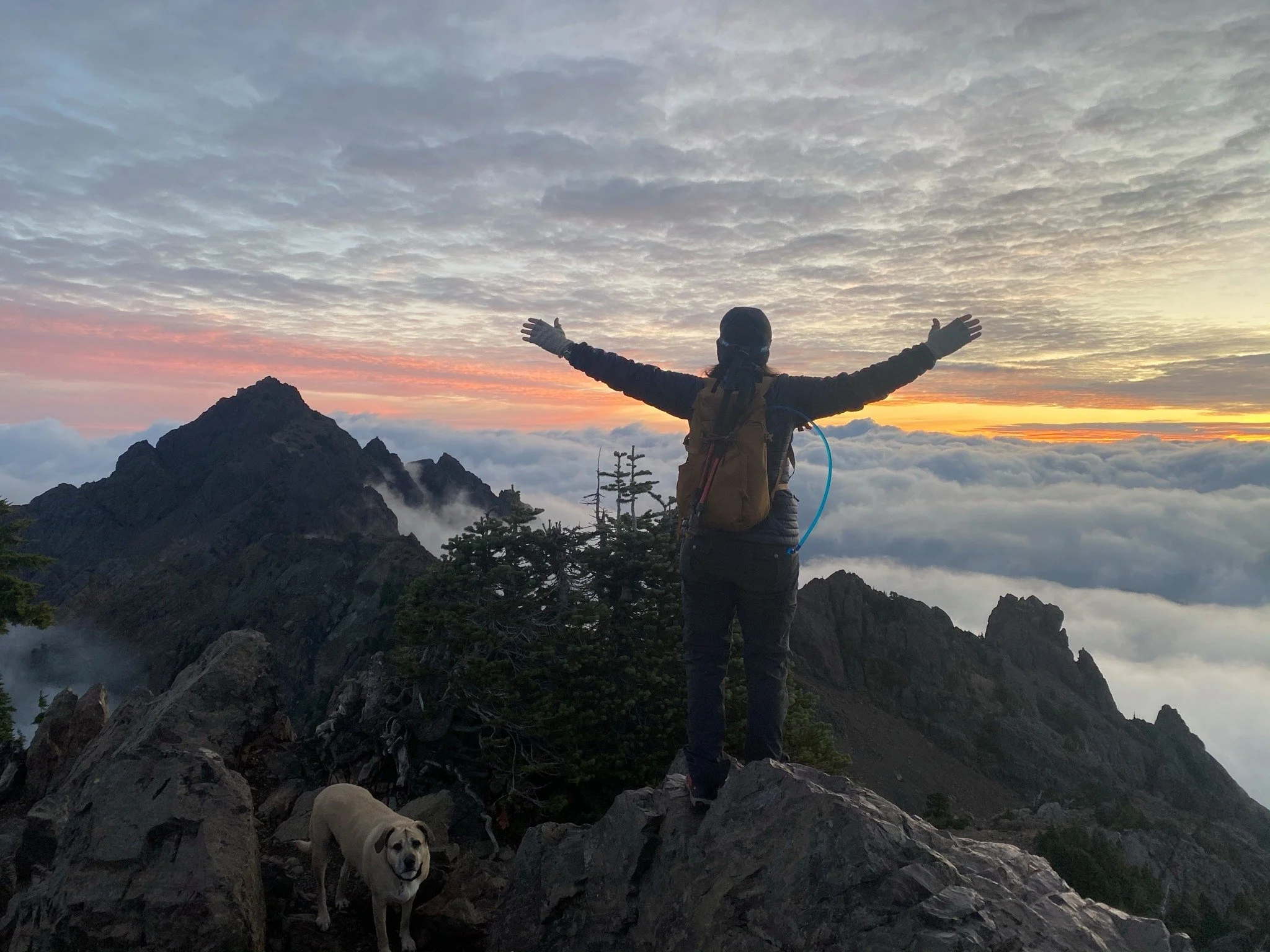 A person with arms outstretched standing on rocky terrain at the top of a mountain, with a dog nearby, overlooking a sea of clouds at sunrise or sunset, with mountains in the distance. Follow your passion. Allow nature to teach and reset.