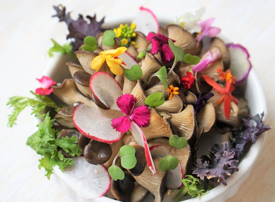 Screenshot 2026-04-29 214102.png