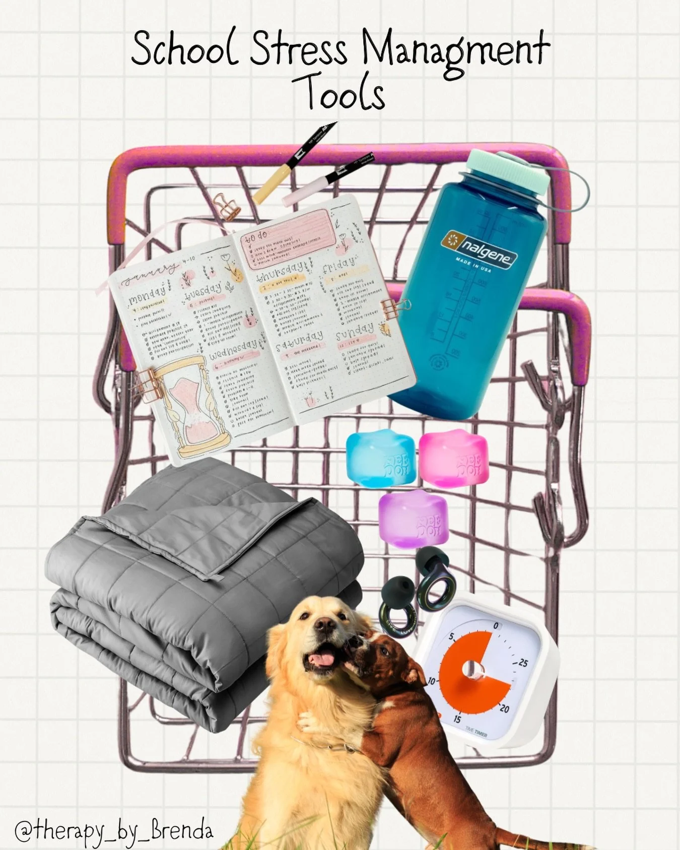 School stress management isn&rsquo;t just about studying harder.
It&rsquo;s about supporting your nervous system. 

In my cart:

Water bottle &ndash; hydration helps your brain focus
Planner &ndash; reduce mental clutter, get it out of your head
Time