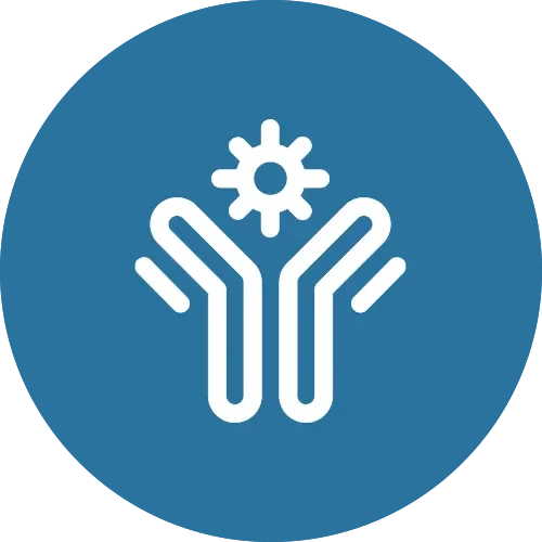 Icon of an antibody