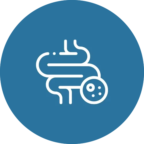 Icon of intestine