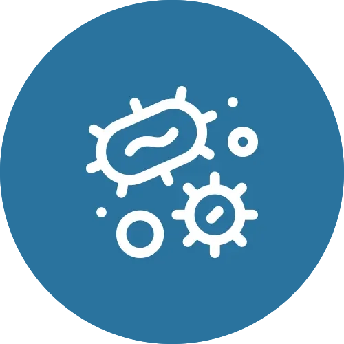 Icon of bacteria