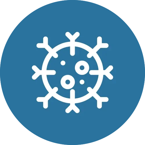Icon of a virus
