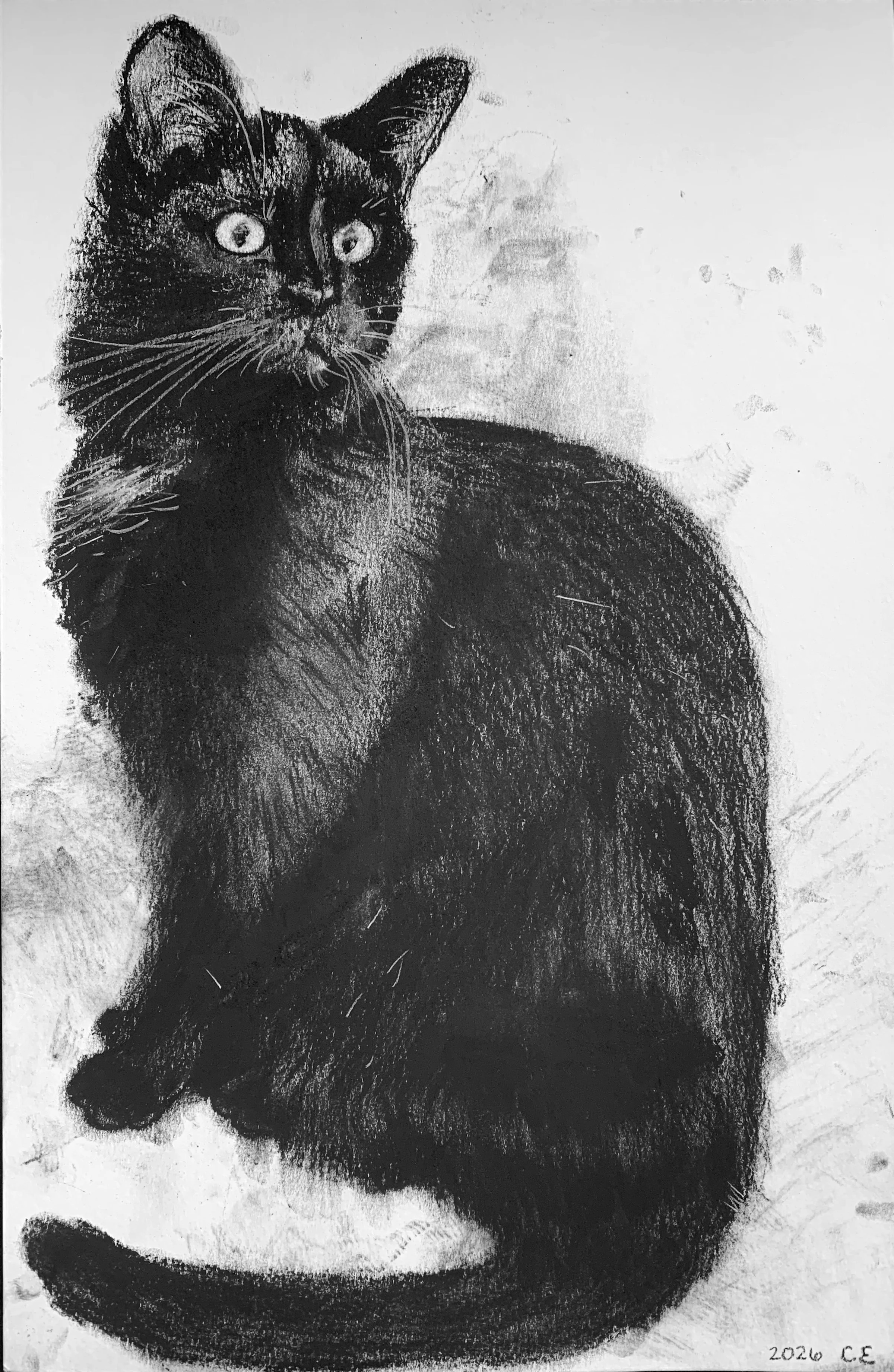 Miss Mae -- charcoal