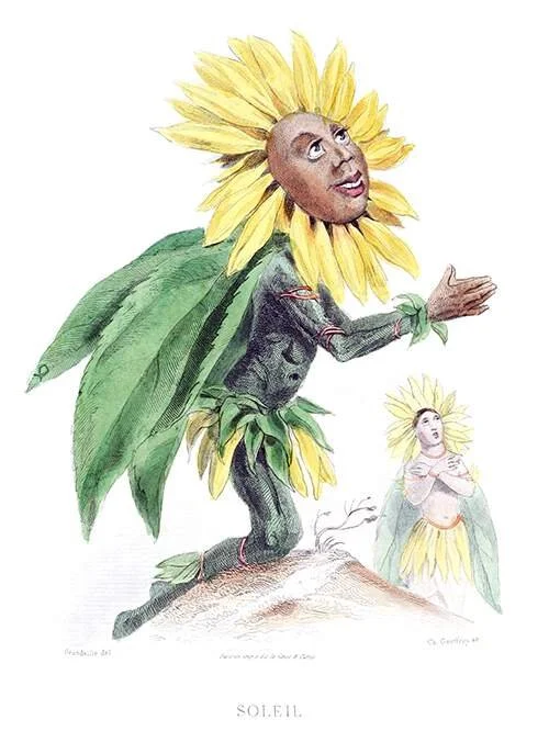 https://{{cite web | title=Sunflower | url=https://www.oldbookillustrations.com/illustrations/sunflower/ | author=Grandville, J.-J. | year=1867 | access-date=August 1, 2026 | publisher=Old Book Illustrations}}