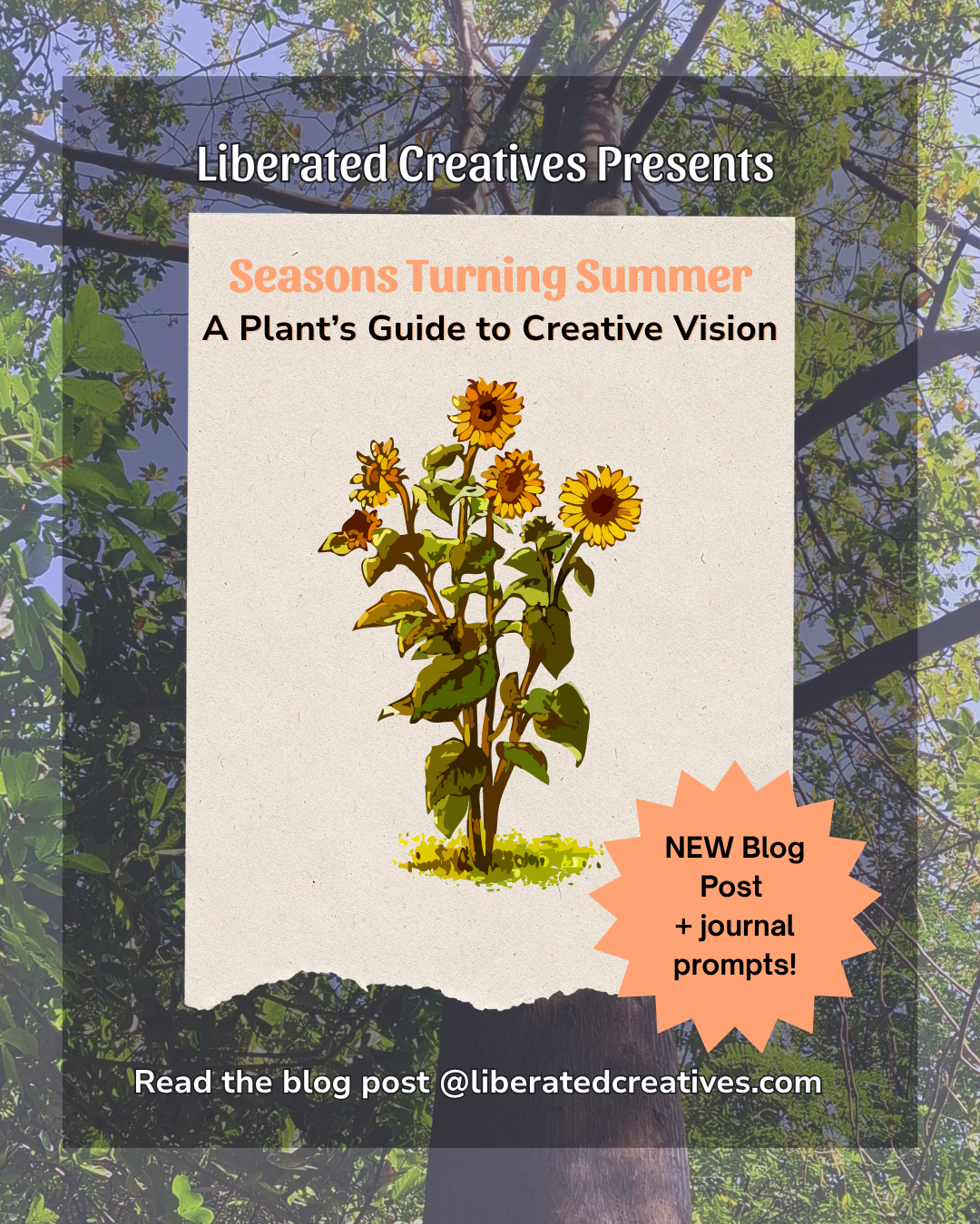 Seasons Turning Summer:&nbsp;A Plant's Guide for Creative Vision