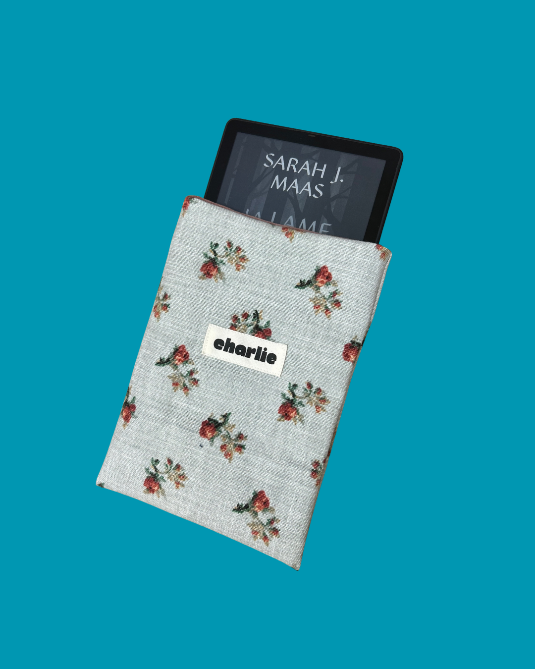 pochette-kindle-petit-livre-épines-1.png