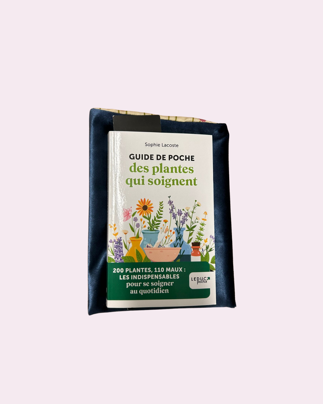 pochette-kindle-petit-livre-velours prince-3.png