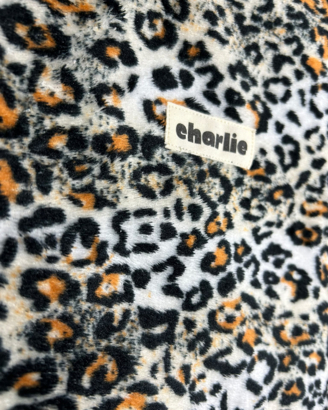 pochette-grand-livre-XL-leo-3.png