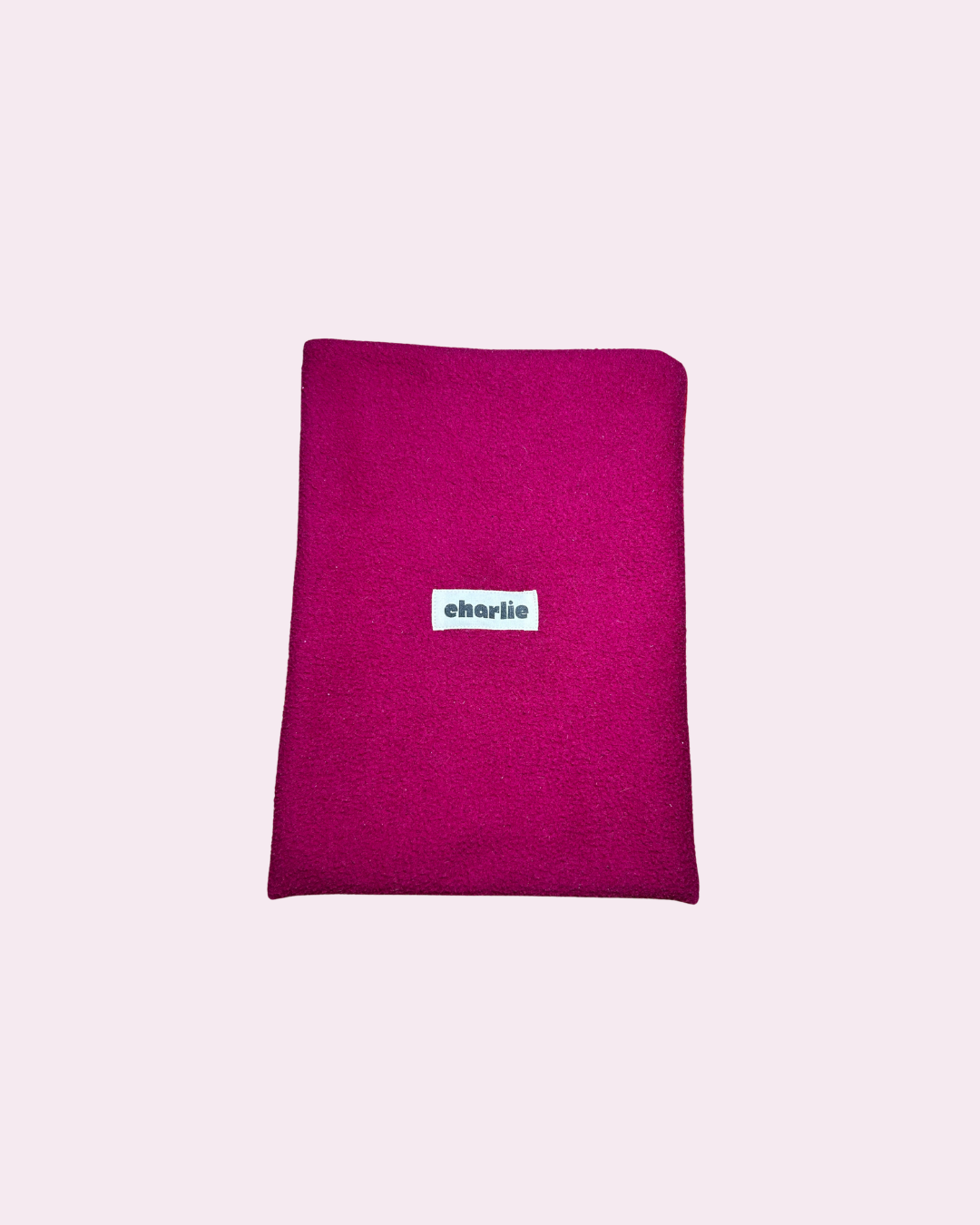 grande-pochette-kindle-livre-point-2.png