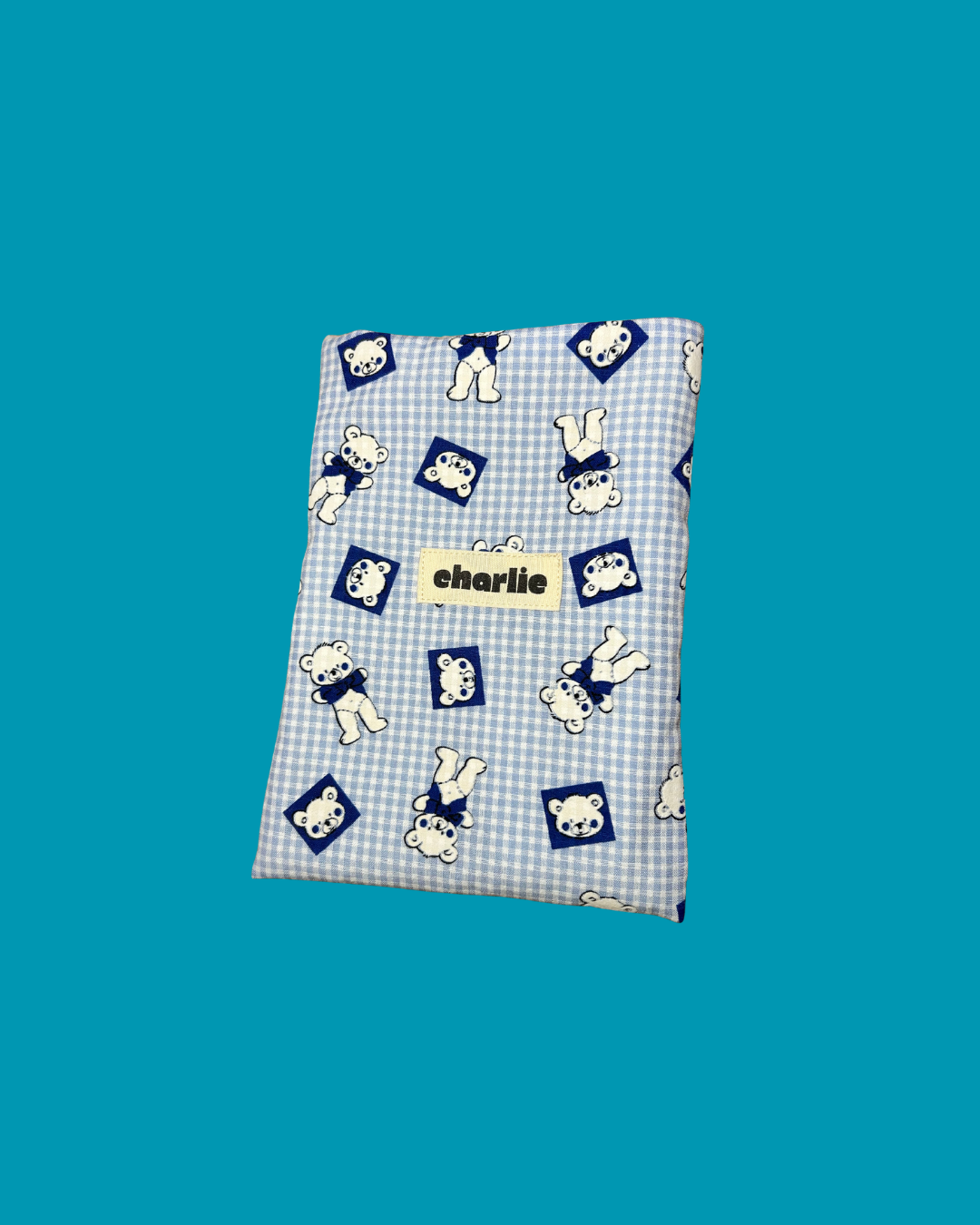 pochette-kindle-petit-livre-nours-1.png