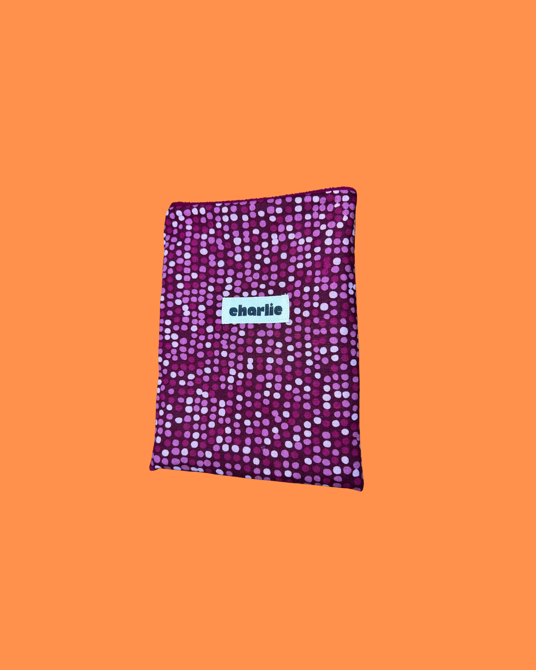 pochette-kindle-petit-livre-point-1.png