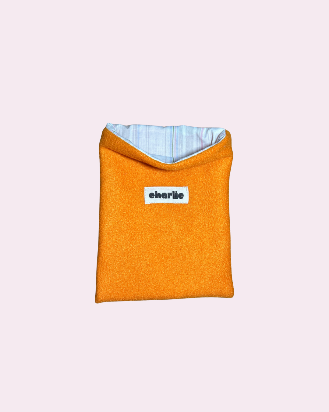 pochette-kindle-petit-livre-carotte-1 (3).png