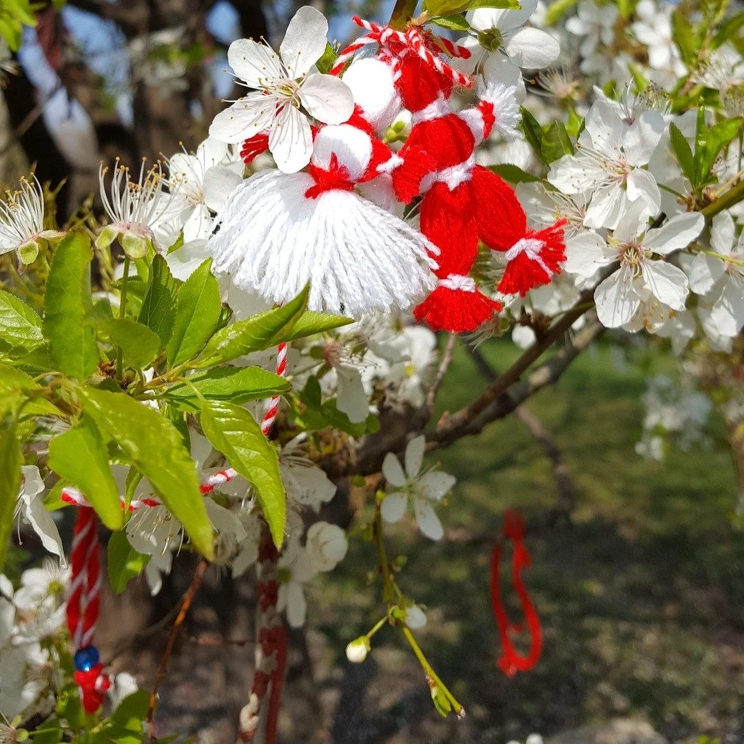 Happy Baba Marta! 🌸❤️

On March 1st, Bulgarians celebrate Baba Marta&mdash;&ldquo;Grandmother March&rdquo;&mdash;a beloved tradition that marks the end of winter and the hopeful arrival of spring. According to folklore, Baba Marta is a feisty old la