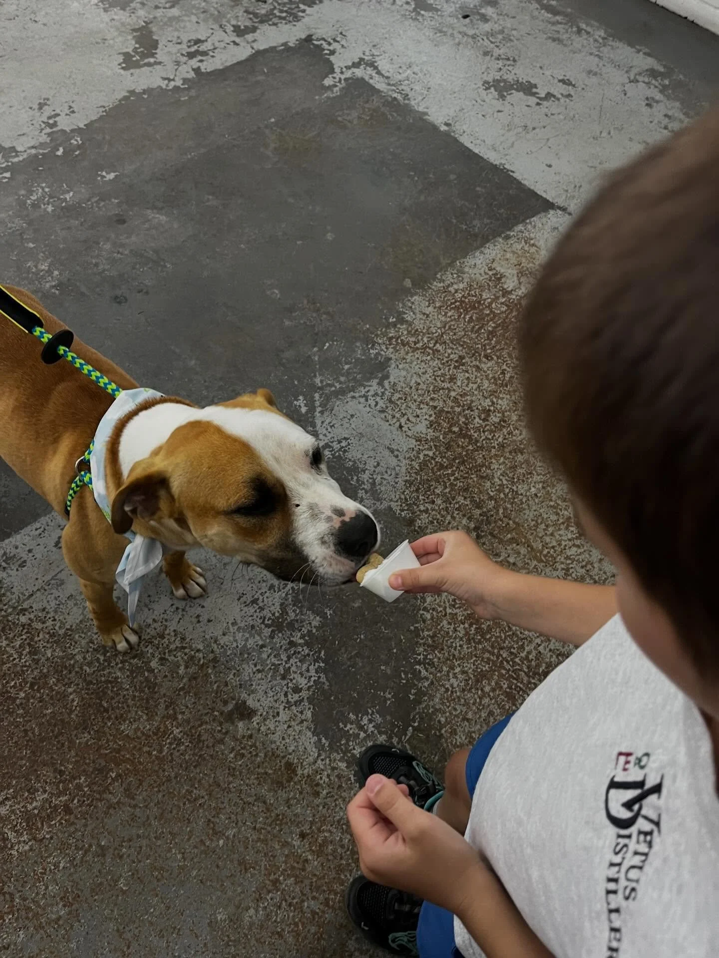 We had such a great time on Saturday with all the amazing pups 🐕 
 
A huge thank you to everyone who came out, supported, and helped make the day so special.

Throughout the rest of April, a portion of all cocktail and bottle sales will be going to 