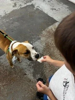 pet-event1.jpg