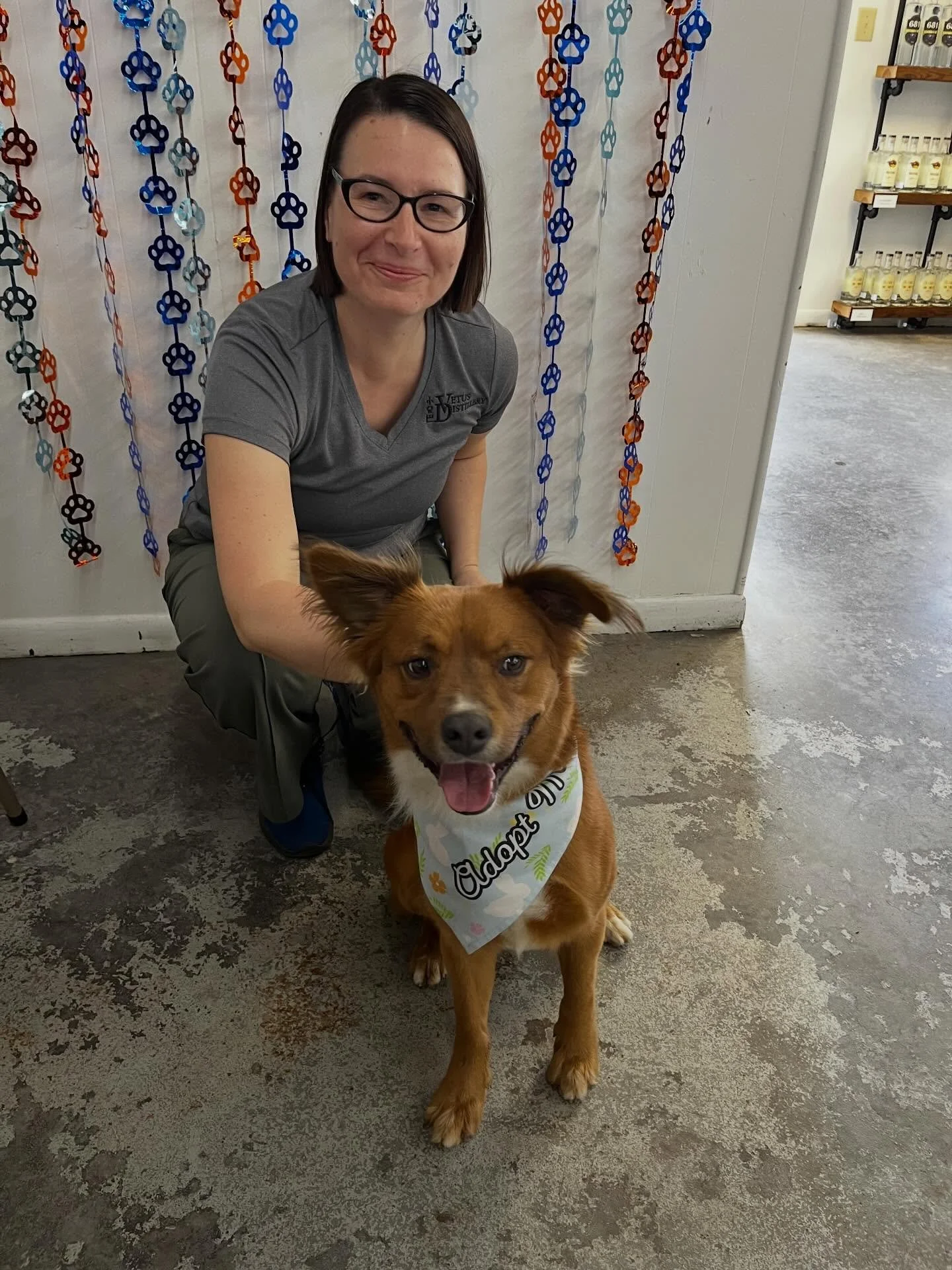 ⏳You still have time⏳

Portion of each bottle sale in April  goes to help Anson county animal shelter 🐕🐈

Stop by and show your support 💟

#ansoncounty #vetusdistillery #monroenc #supportlocal #animallover