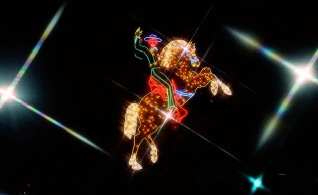 Seeing Double in the Neon Jungle: Questions for Sarah Robles 