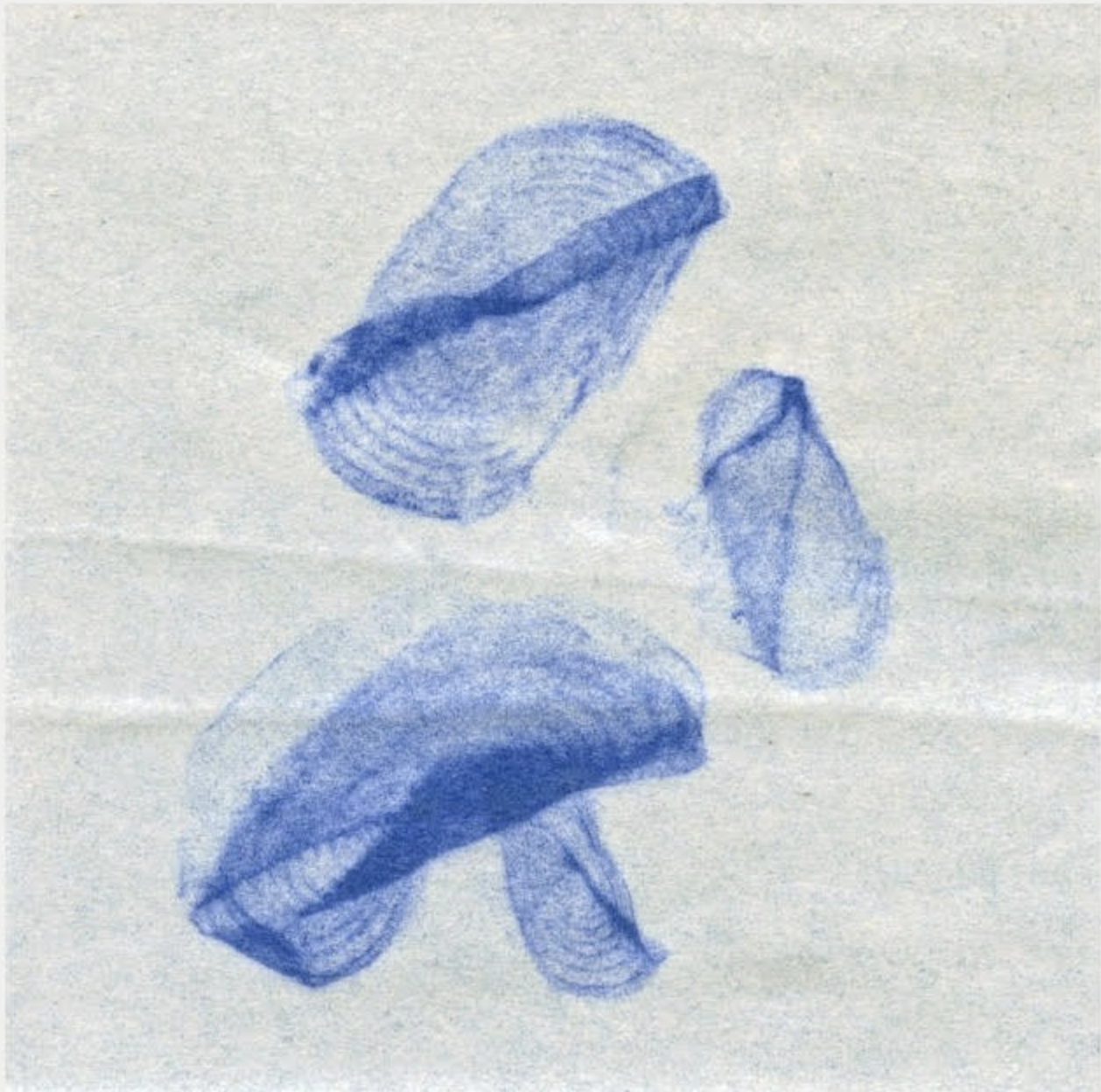 Cyanotype Workshop - 5/2/26 (12 p.m. - 2 p.m.)