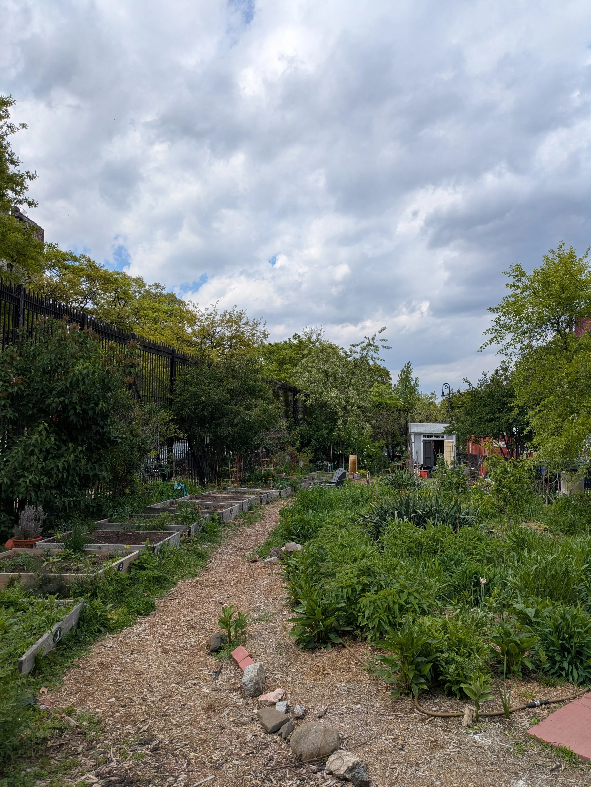 Yoga in the Garden - (Brooklyn College Community Garden) 
