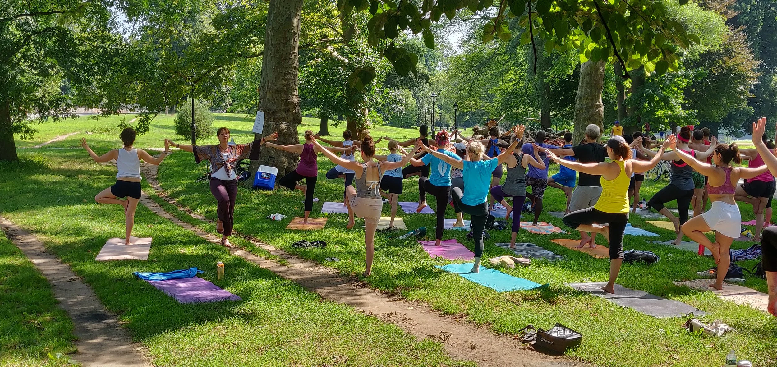 Brooklyn yoga studio plans fundraiser to protect Costa Rican rain forest - The Tico Times - Oct 2015