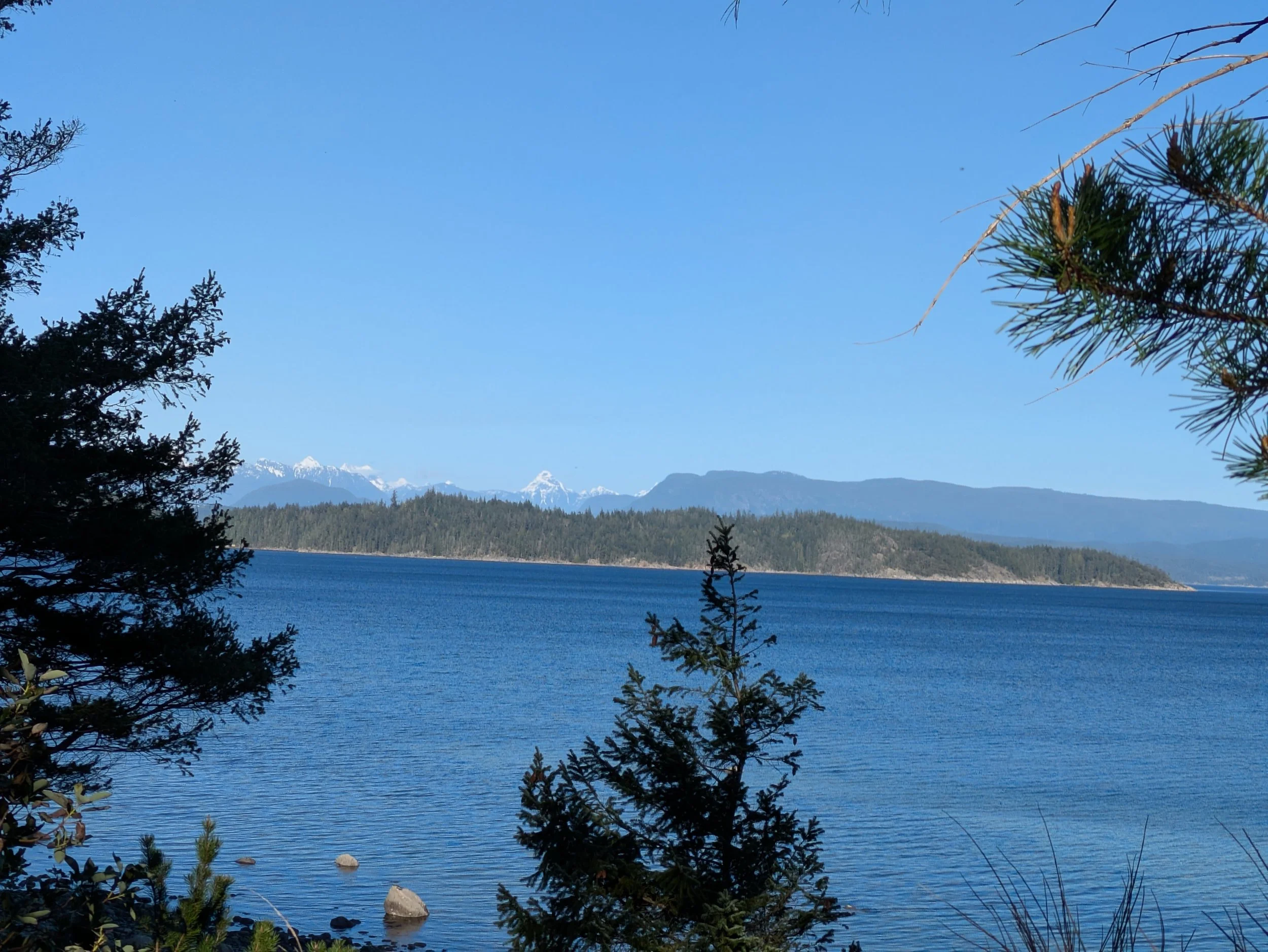 A scenic view of a lake with a forested shoreline, distant snow-capped mountains, and a clear blue sky with tree branches in the foreground.