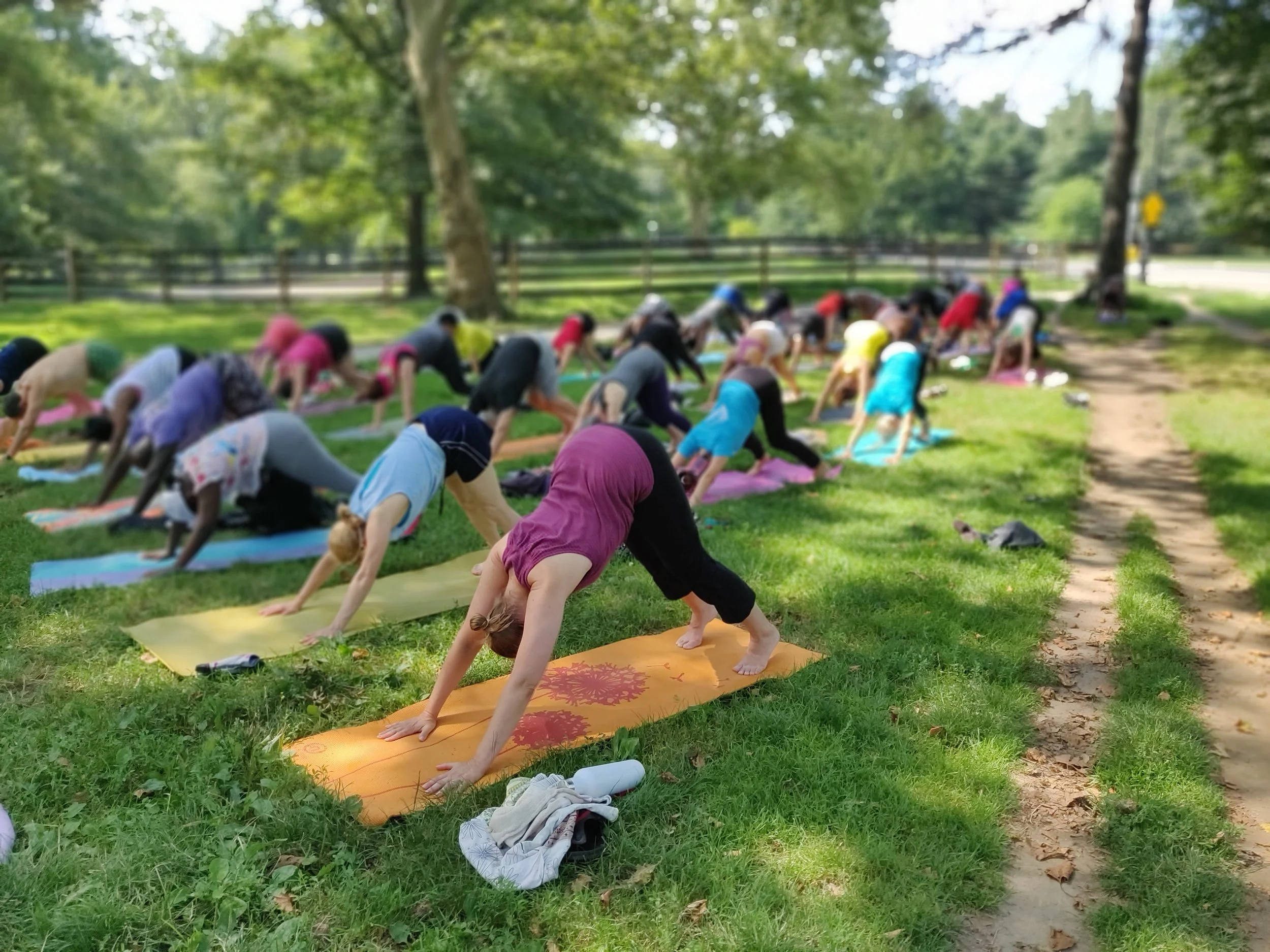 parkyogadowndog.jpg