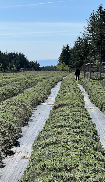 Screenshot 2026-01-17 9.22.11 PM.png