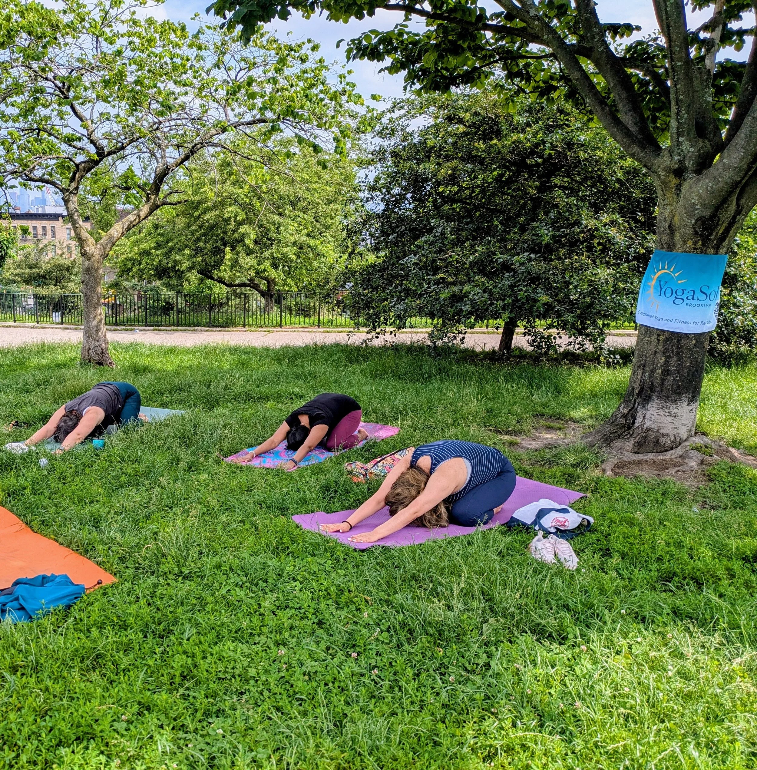 Group outdoor yoga class with participants sitting on mats, raising their arms, under a large tree in a park setting.