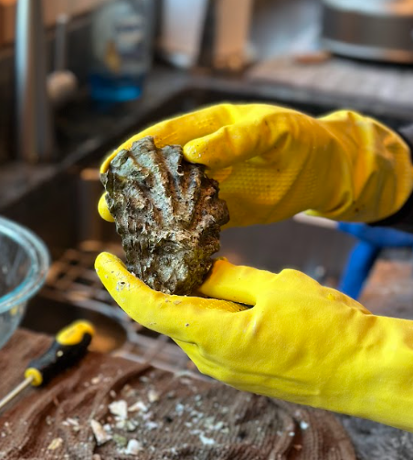 Screenshot 2026-01-17 9.21.08 PM.png