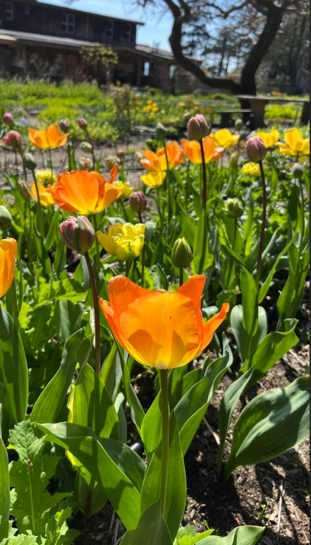 Screenshot 2026-01-17 9.16.57 PM.png