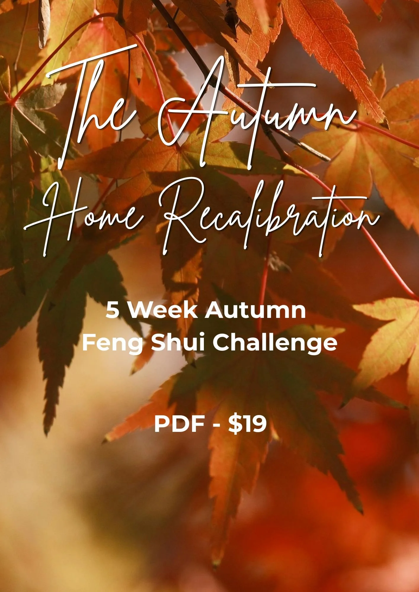 Autumn Challenge (2).jpg