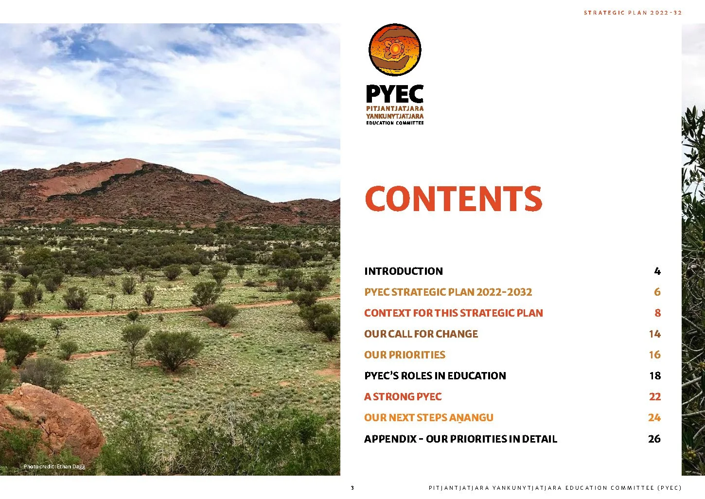 Cover page of a strategic plan document with a landscape photo of a mountain, trees, and a cloudy sky on the left, and an organization logo, title, and contents list on the right.
