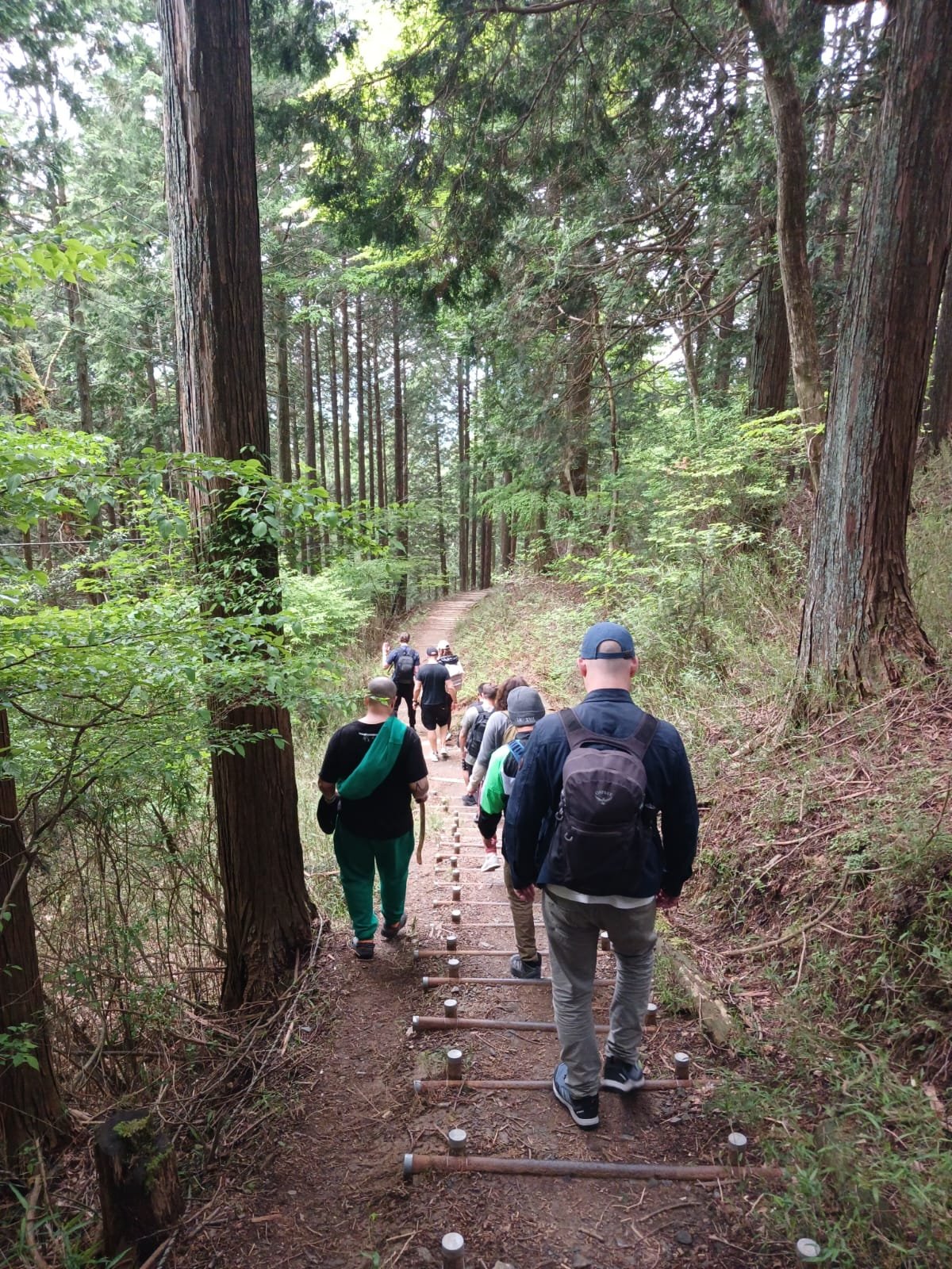 Forest Hike Pic.jpeg
