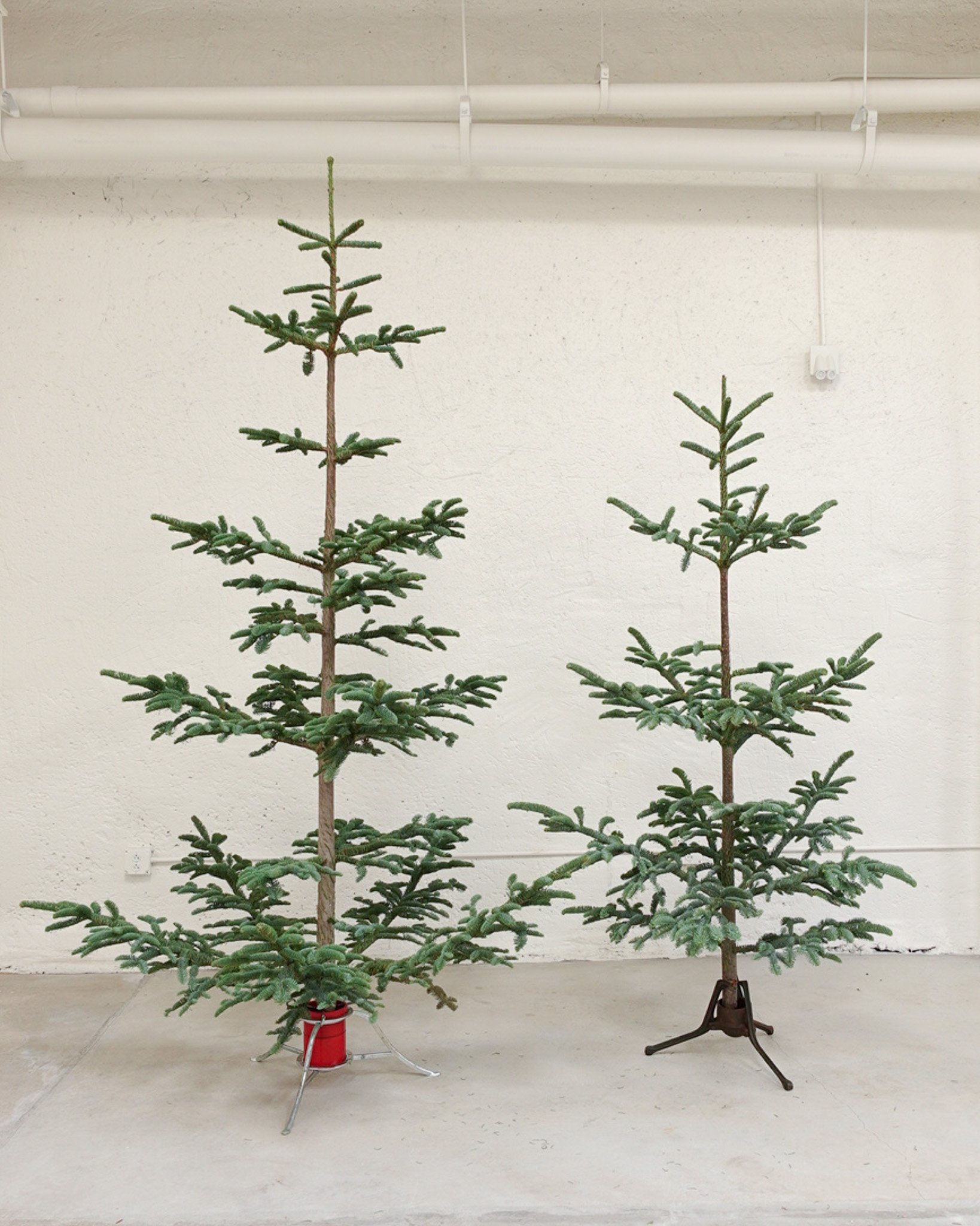 HOLIDAY24_IG-22.jpg