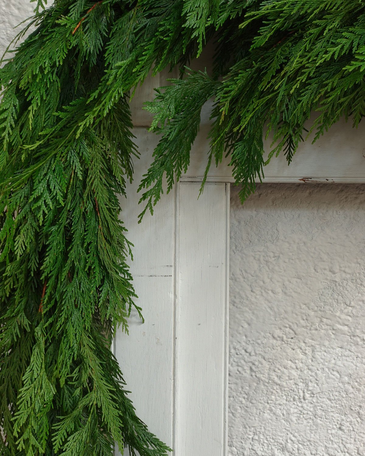 HOLIDAY24_IG-52.jpg