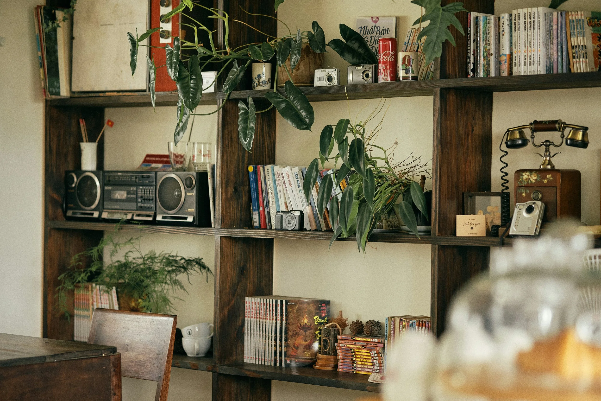 Vintage wooden shelving filled with books, houseplants, cameras, a stereo, a Coca-Cola can, and a rotary telephone