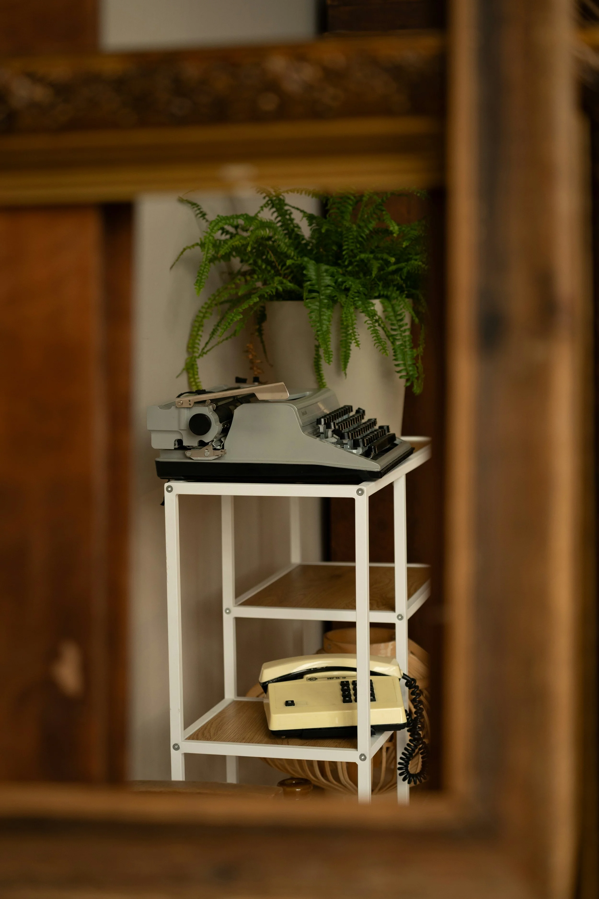Vintage typewriter and rotary telephone on a white shelving unit beside a potted fern